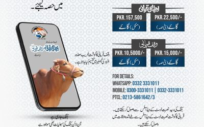 Participate in Collective and Waqf Qurbani